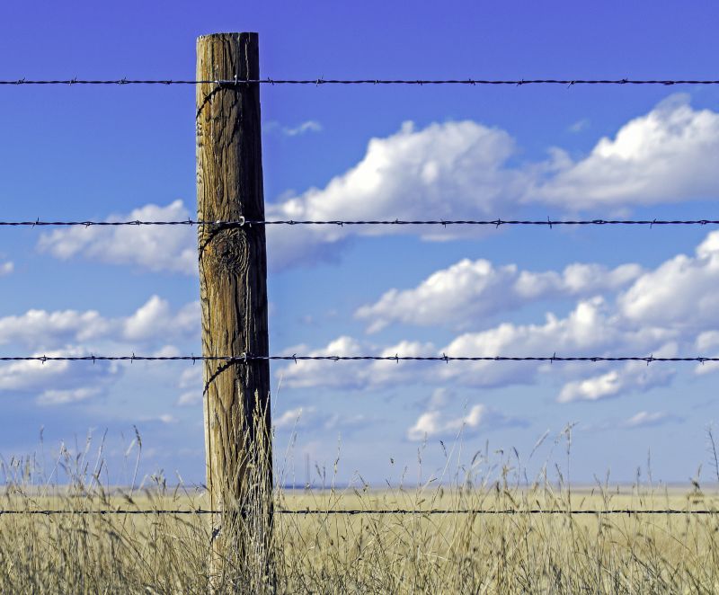 Farm Fencing with Wooden Posts