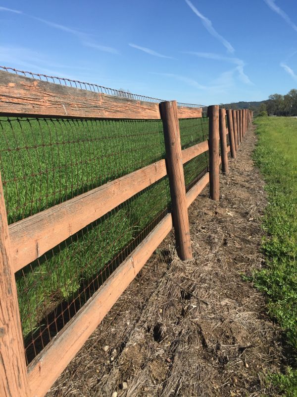 Farm and Ranch Fence